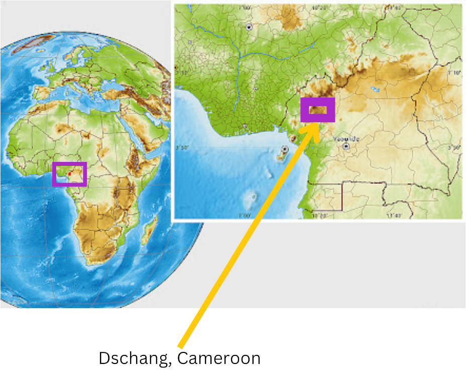 once upon a well-the map of Dschang